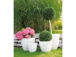Auslauf 🌟 Jardini Blumentopf Crack Cim - 36/40 cm in weiß 🎉 -Gartenmöbel Verkaufs-Shop 4451684 0340109 18889313 2
