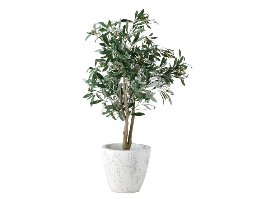 Coupon 💯 Jardini Blumentopf Crack Cim - 29/33 cm in weiß ❤️ 2 Coupon 💯 Jardini Blumentopf Crack Cim - 29/33 cm in weiß ❤️ – Bild 2