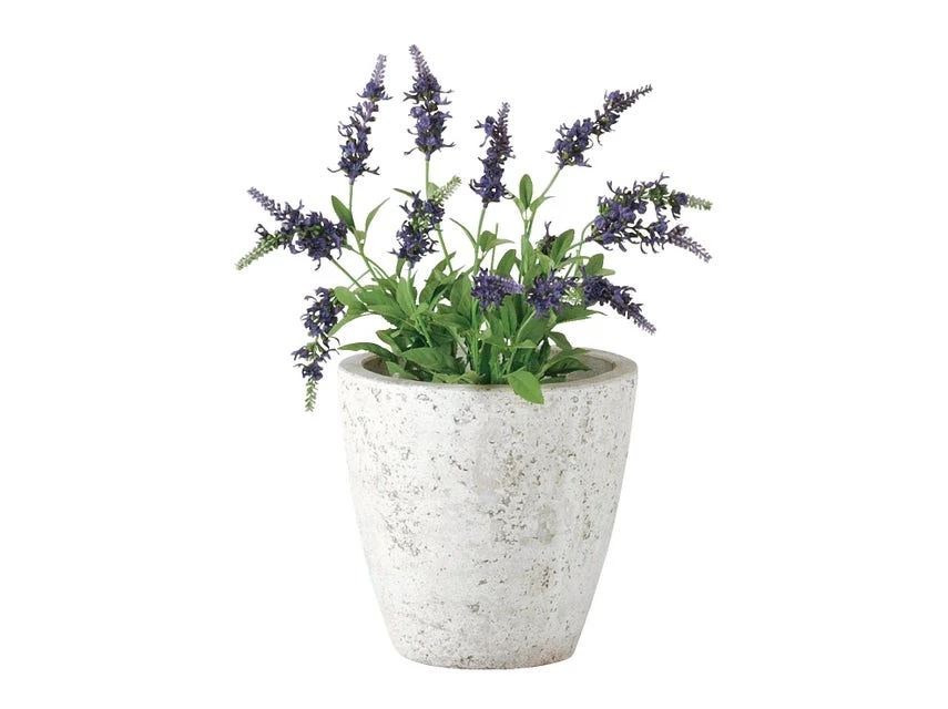 Bestpreis 👏 Jardini Blumentopf Crack Cim - 24/25 cm in weiß ✨ 2 Bestpreis 👏 Jardini Blumentopf Crack Cim - 24/25 cm in weiß ✨ – Bild 2