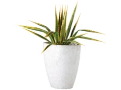 Brandneu ✔️ Jardini Blumentopf Crack Cim - 46/50 cm in weiß 👍 -Gartenmöbel Verkaufs-Shop 4473818 0344969 1 18889313