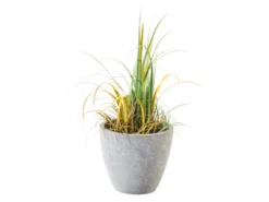 Am billigsten ⌛ Jardini Blumentopf Crack Cim - 36/40 cm in grau 🧨 -Gartenmöbel Verkaufs-Shop 6376258 0546682 1 23773486