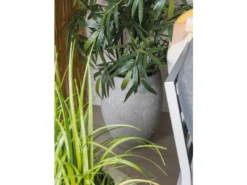 Schlussverkauf ✔️ Jardini Blumentopf Crack Cim - 62/48 cm in grau 😉 -Gartenmöbel Verkaufs-Shop 6645699 0587286 23773725