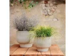 Top 10 🧨 Jardini Blumentopf Petra - 40/50 cm in beige 🔔 -Gartenmöbel Verkaufs-Shop 6746694 0602949 1 24669395