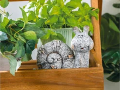 Angebote 🌟 Jardini Dekofigur Schnecke - 17,5/14,5/9 cm in grau 👏 -Gartenmöbel Verkaufs-Shop 6812028 0623514 1 24668610